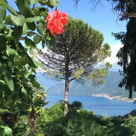 Villa Historical Gina With Magic View Dizzasco